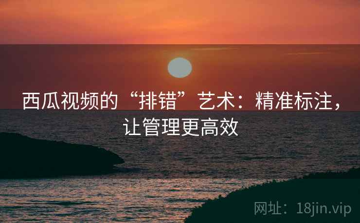 西瓜视频的“排错”艺术:精准标注,让管理更高效 西瓜视频的“排错”艺术:精准标注,让管理更高效